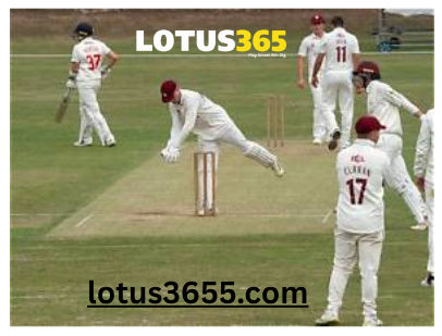 lotus365