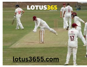 Lotus365