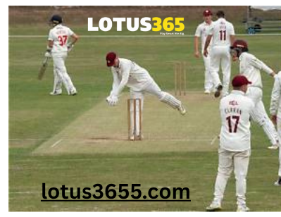 Lotus365