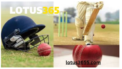 lotus365