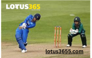 lotus365