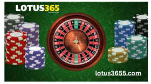 lotus365