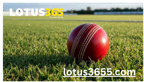 lotus365